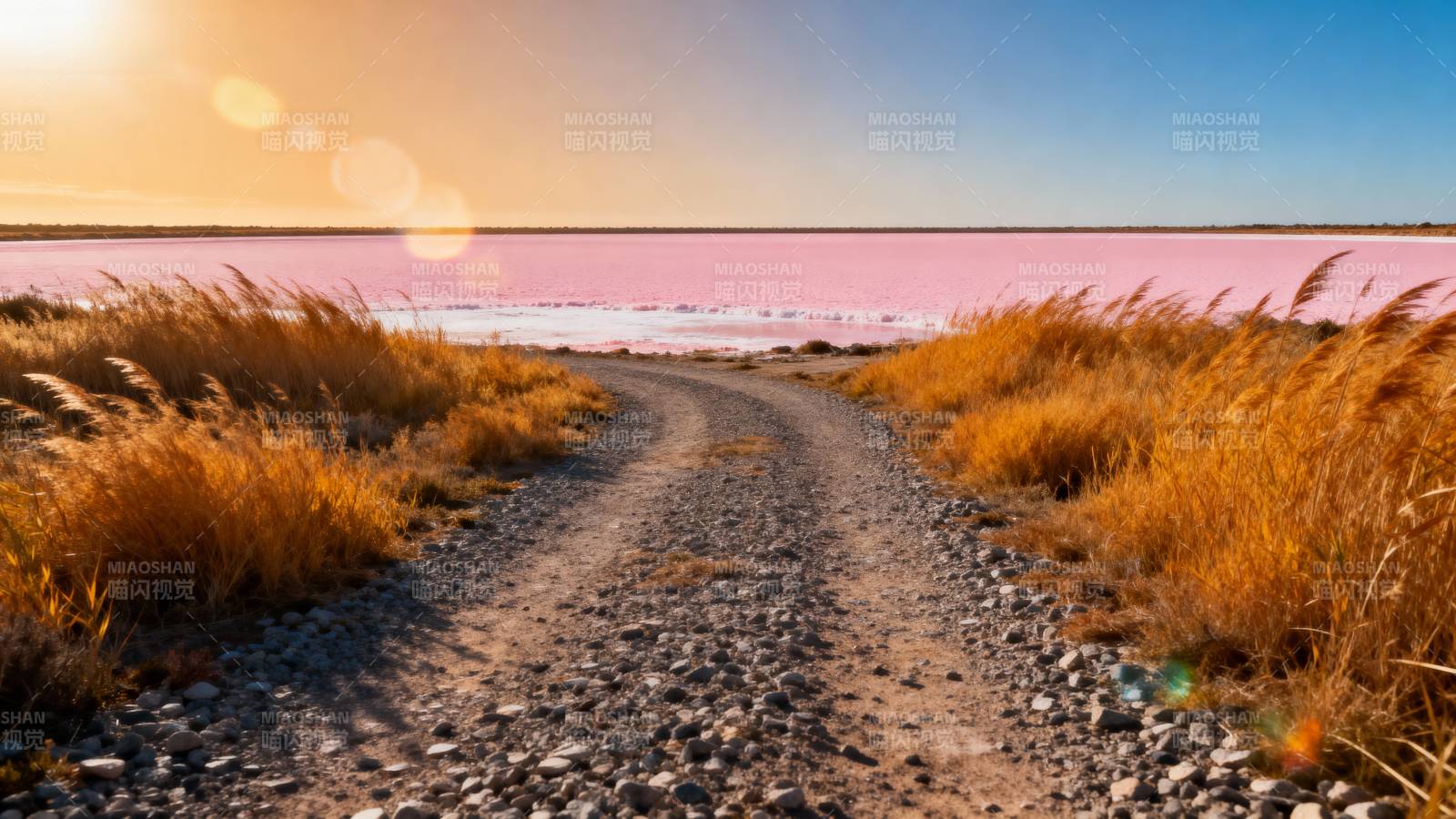 粉湖夕阳小径图片