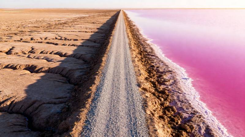 粉红湖畔公路图片