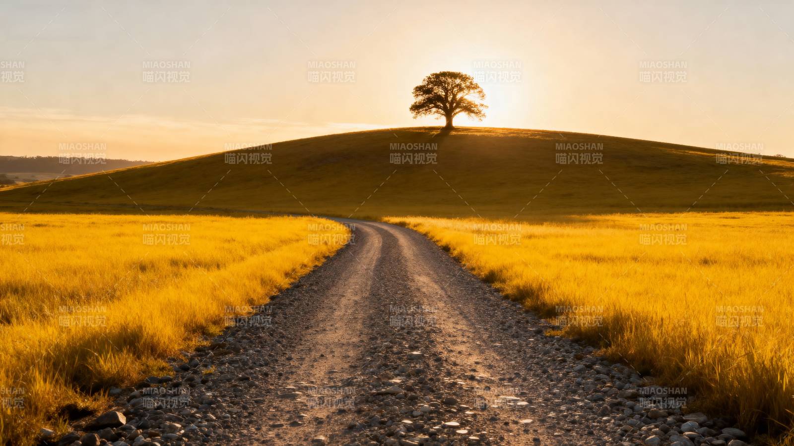 孤树夕阳路图片