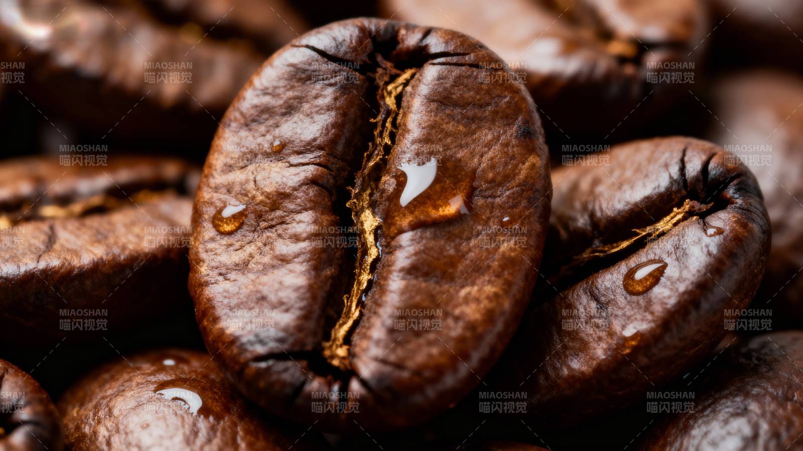 咖啡豆特写图片