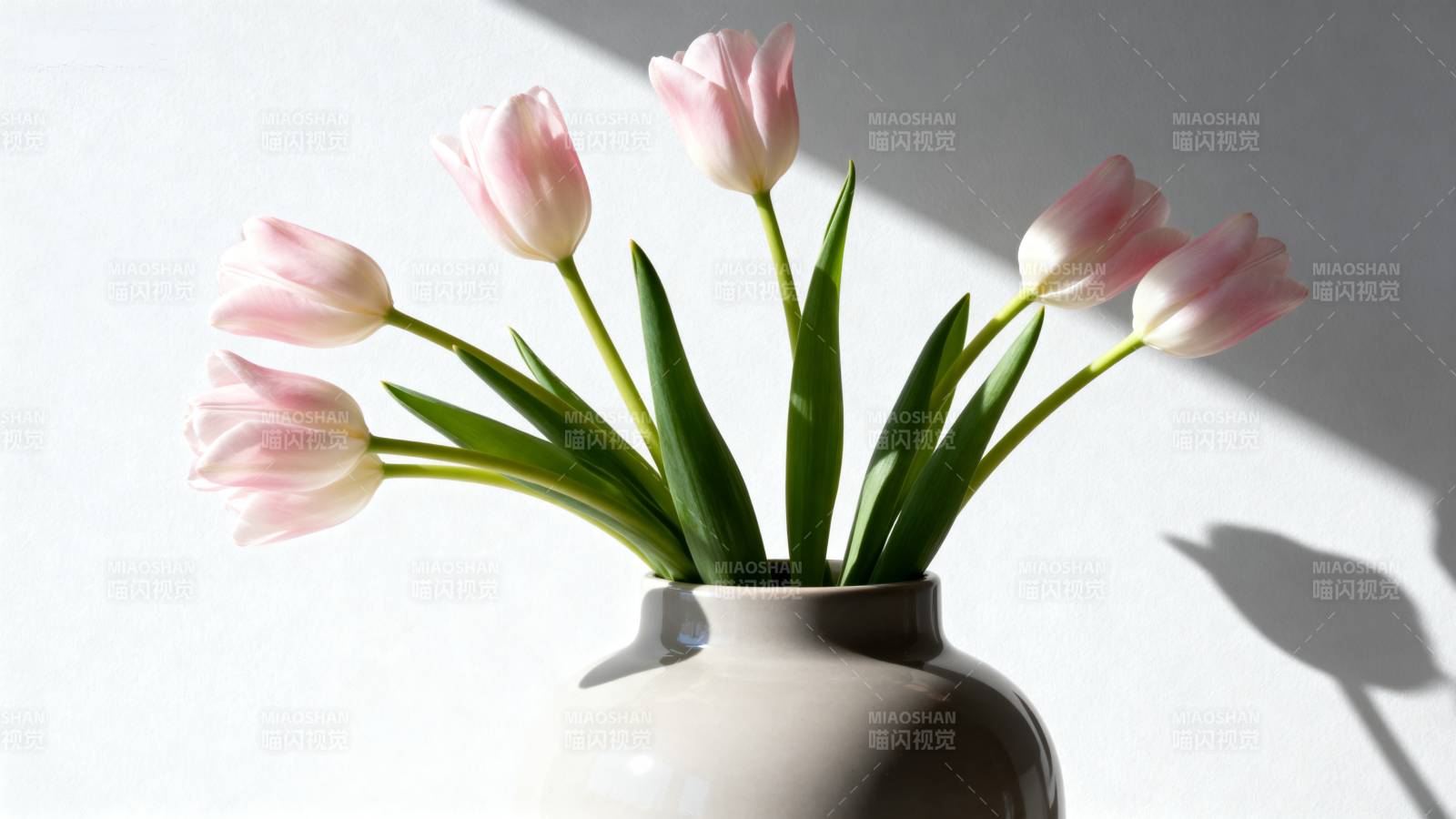 粉色郁金香花瓶光影静物图片