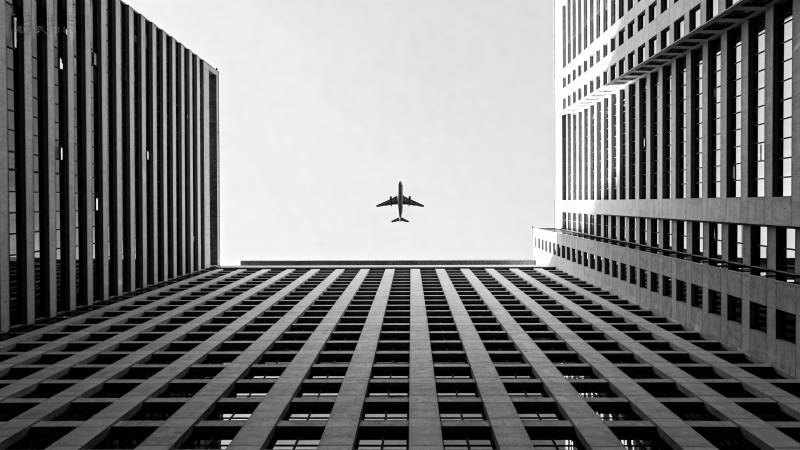 城市之巅的飞行图片