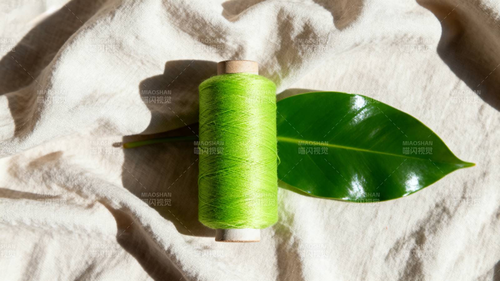 绿线与叶静物图片