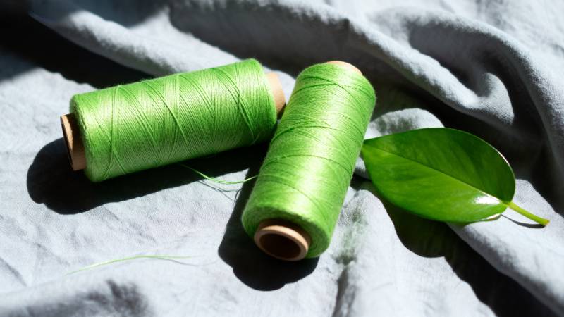 绿线与叶静物图片