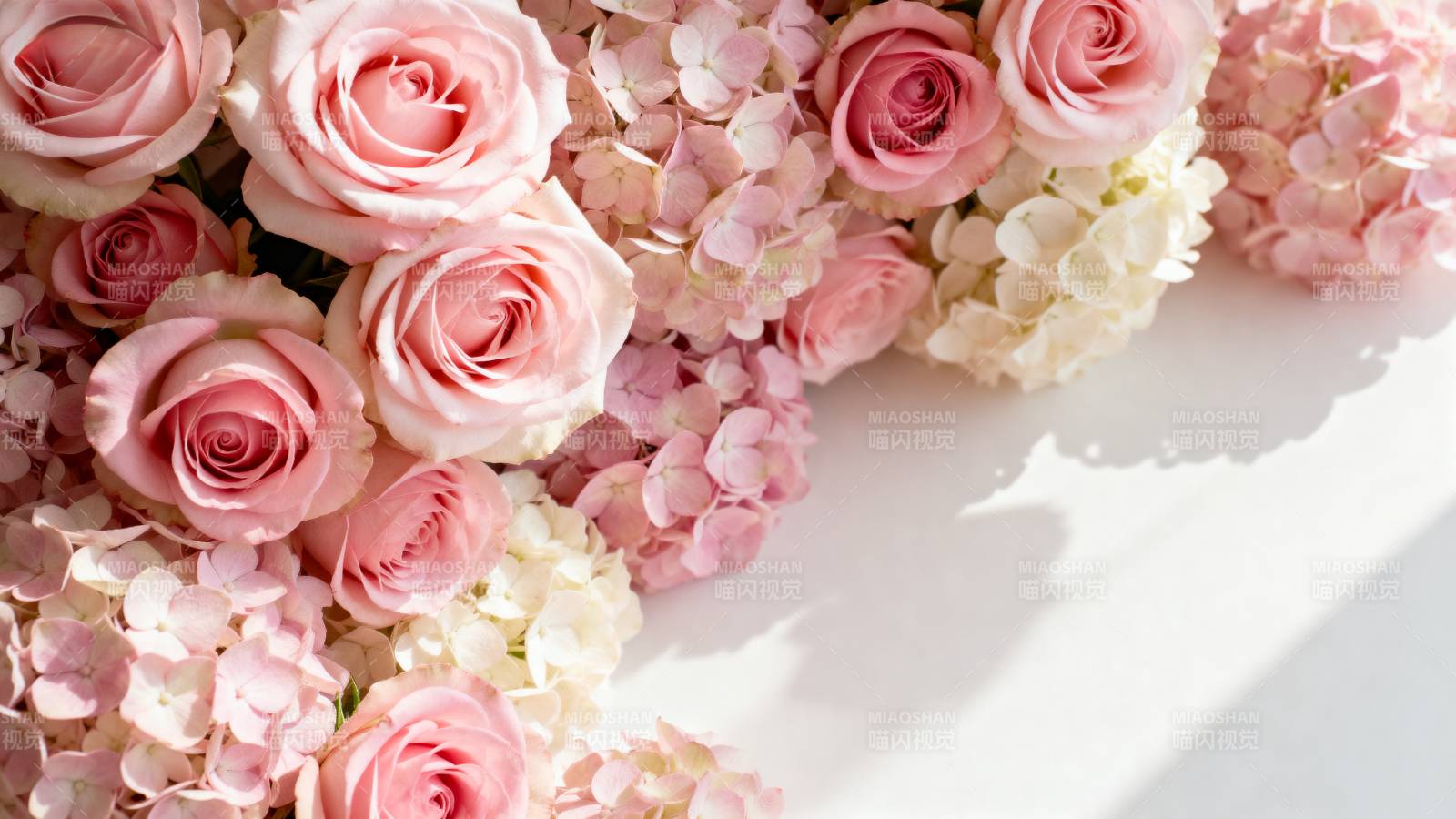 粉玫瑰与绣球花图片