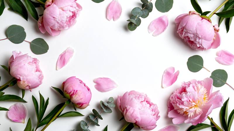 粉花绿叶环绕图片