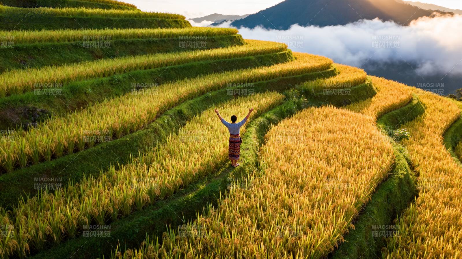 梯田上的晨光拥抱图片