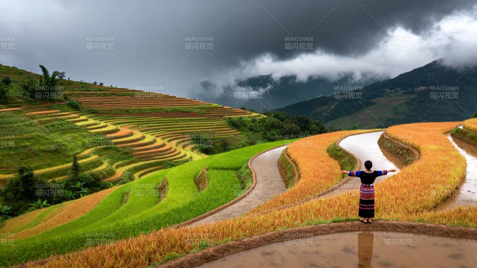 梯田上的舞者图片