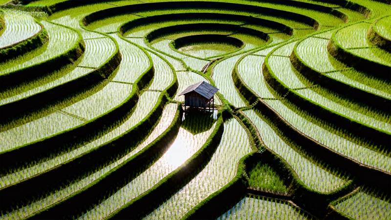 梯田环绕小屋图片