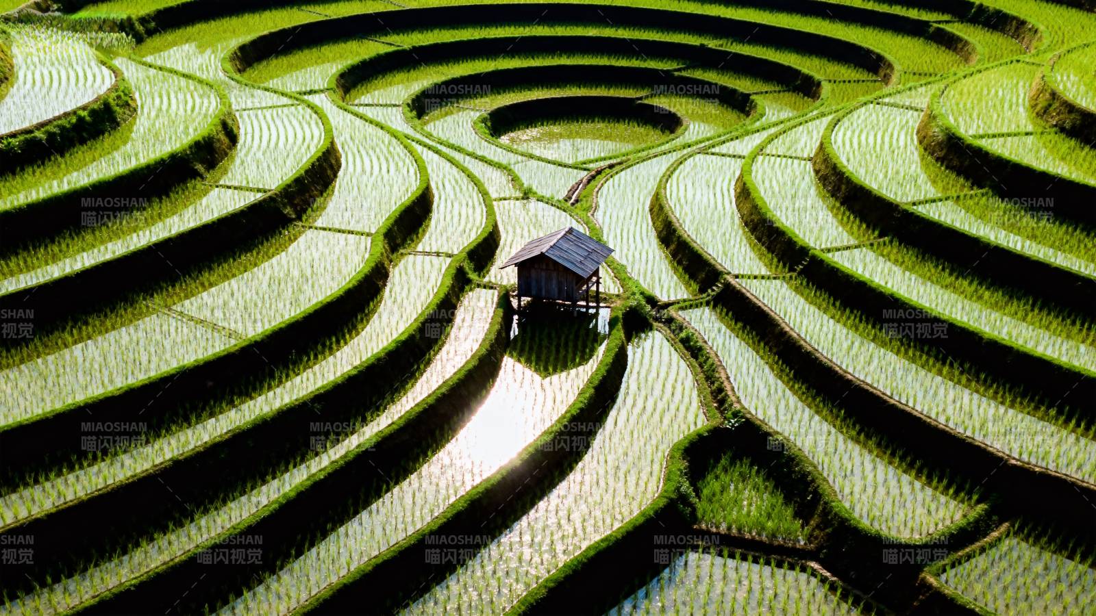 梯田环绕小屋图片