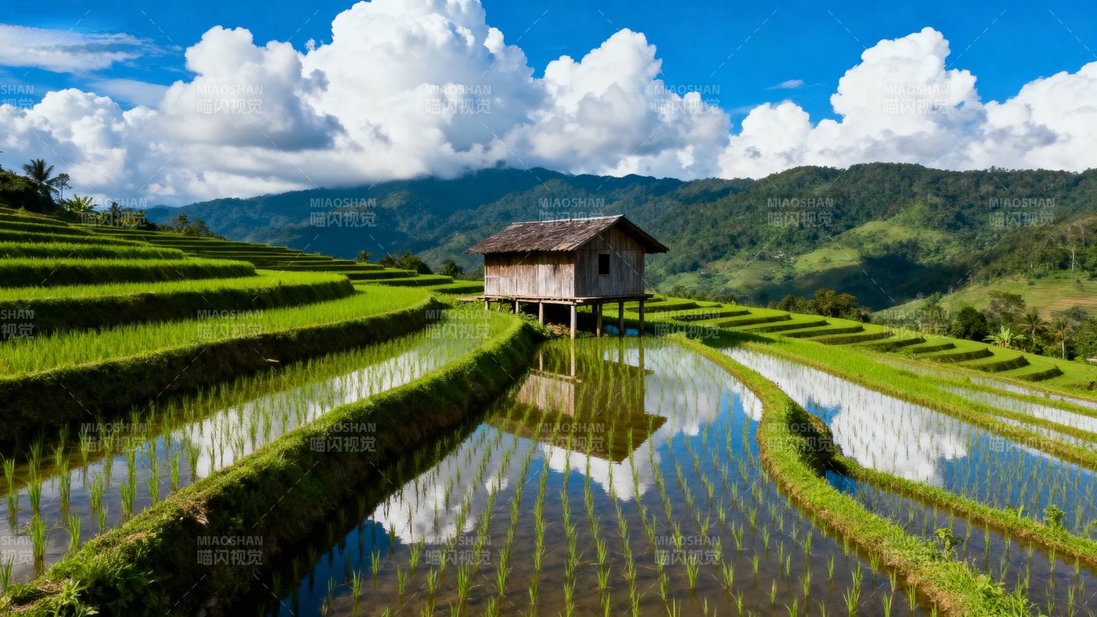 梯田风光 屋影如画图片