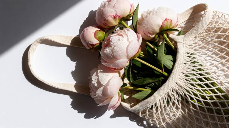 花束与网袋静物图片