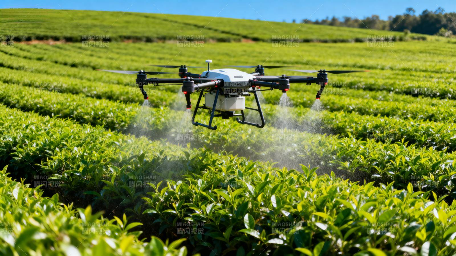 无人机喷洒茶园图片
