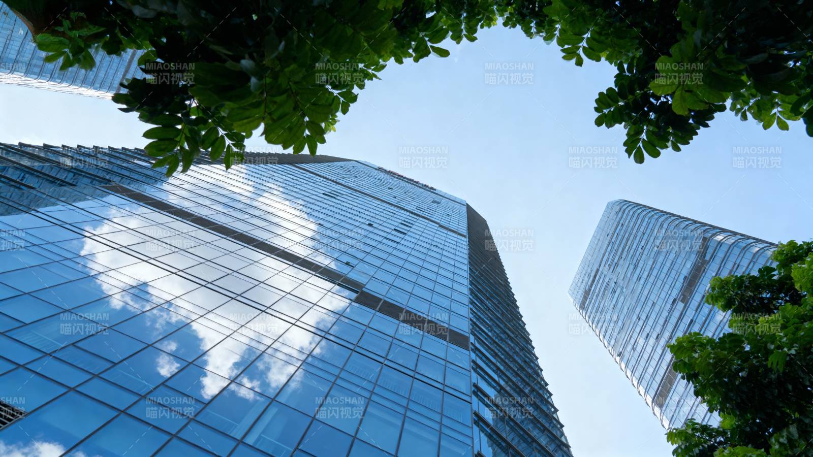 高楼林立 绿树映衬图片