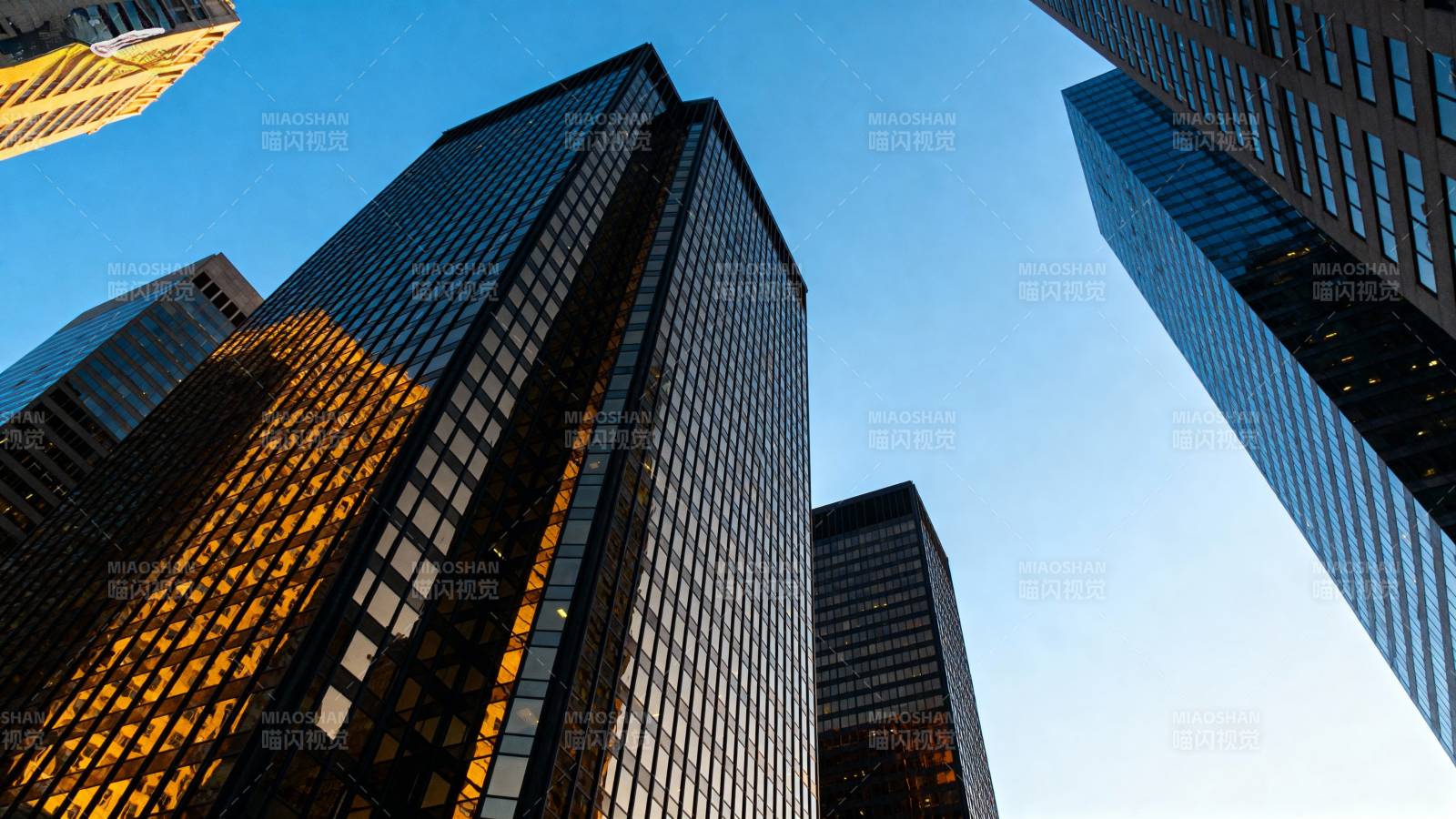 城市高楼仰望图片