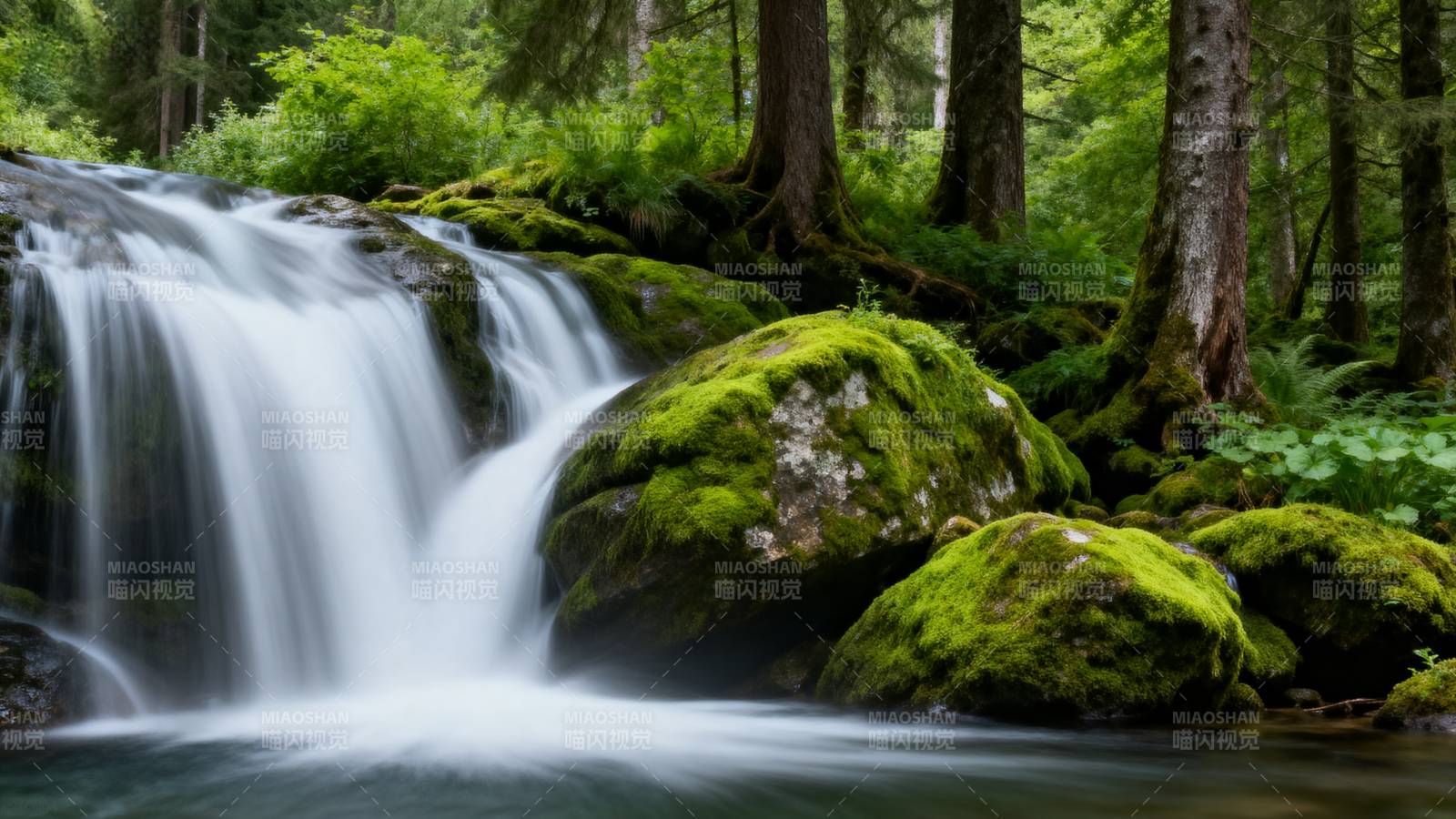 森林溪流瀑布图片