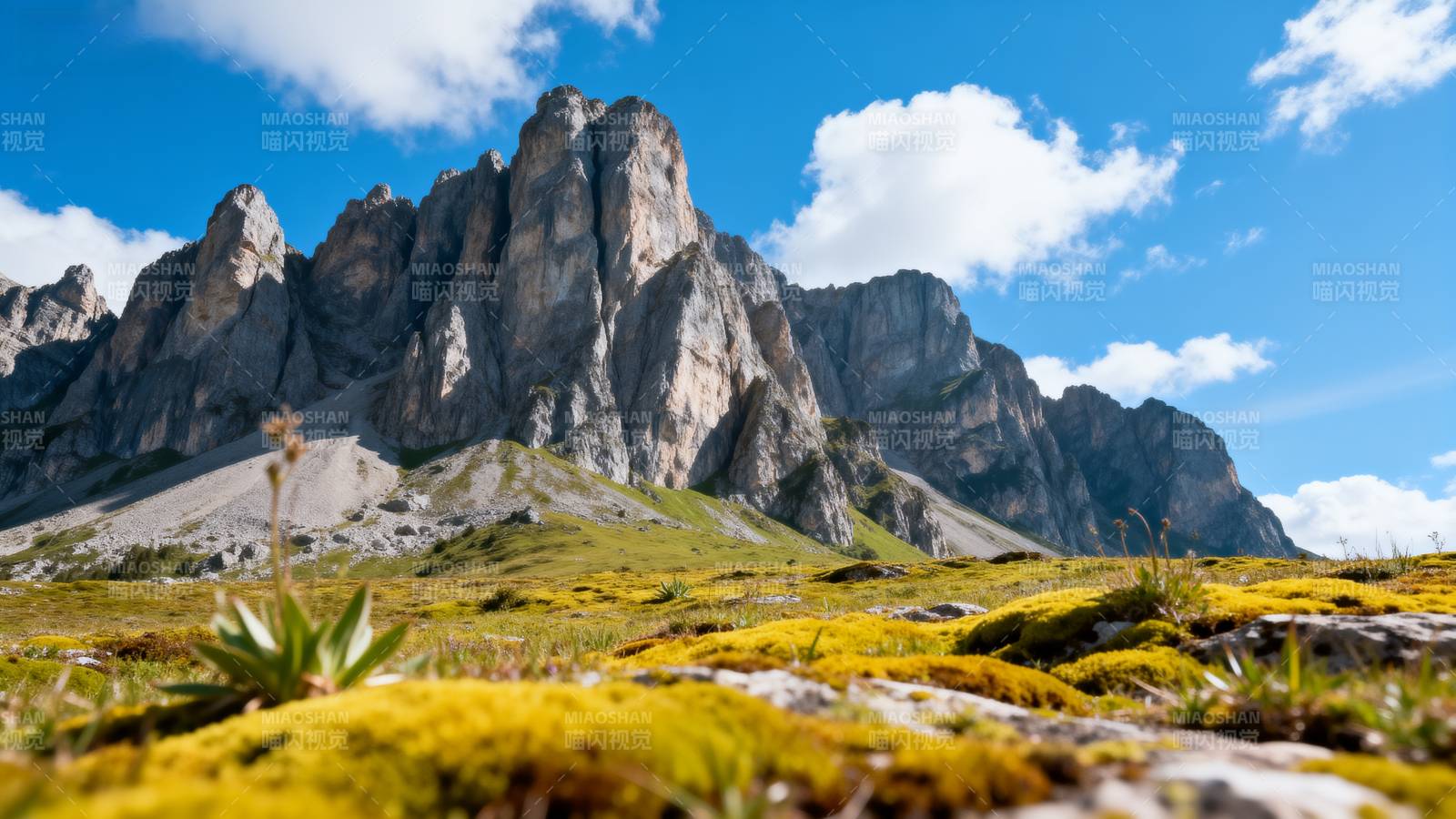 高山草甸风光图片