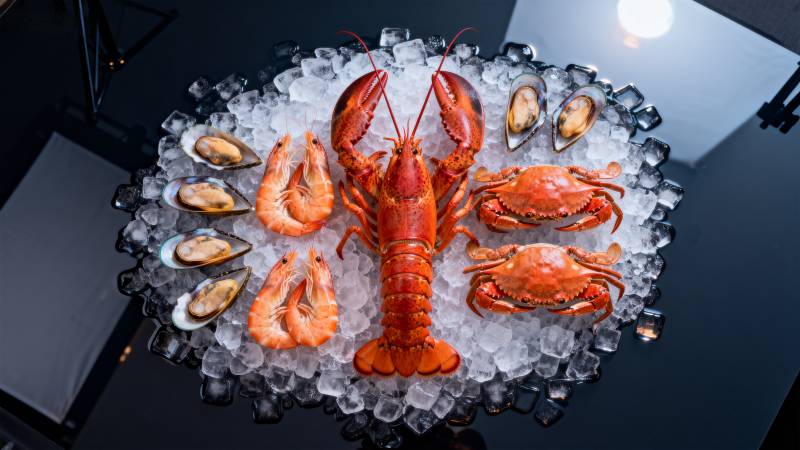 冰镇海鲜盛宴图片