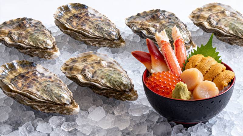 生蚝与刺身拼盘图片