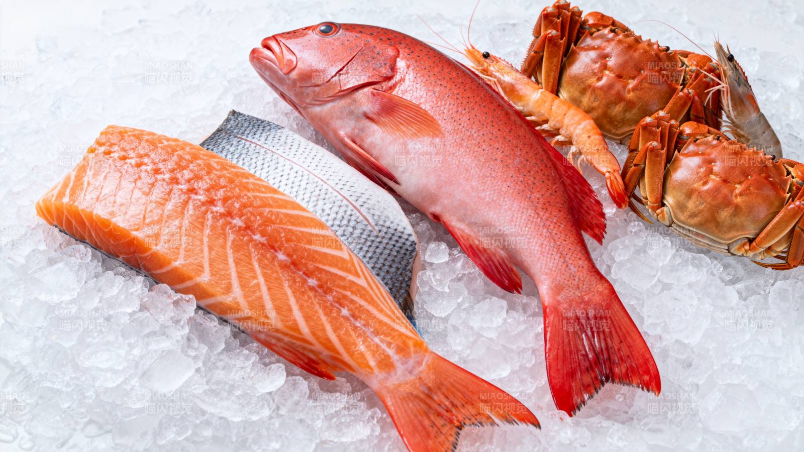 新鲜海鲜冰上陈列图片