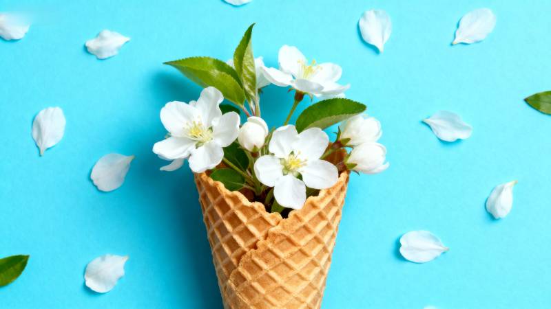 花在冰淇淋筒中图片
