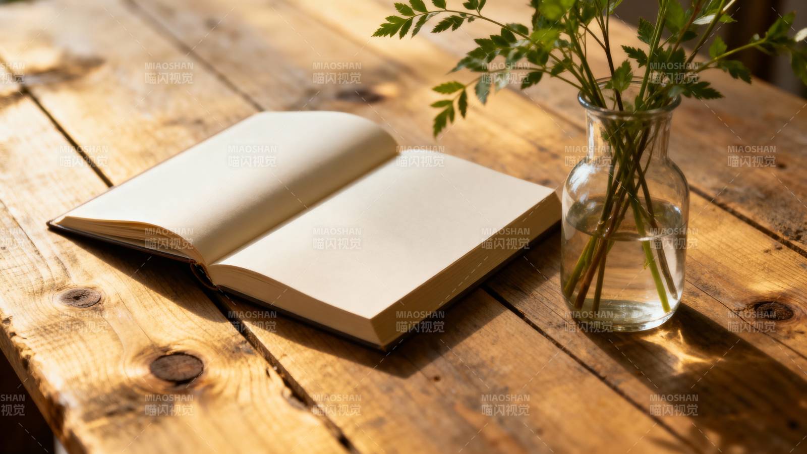 书与绿植静谧时光图片