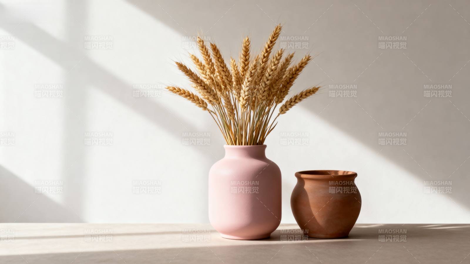 麦穗静物光影图片