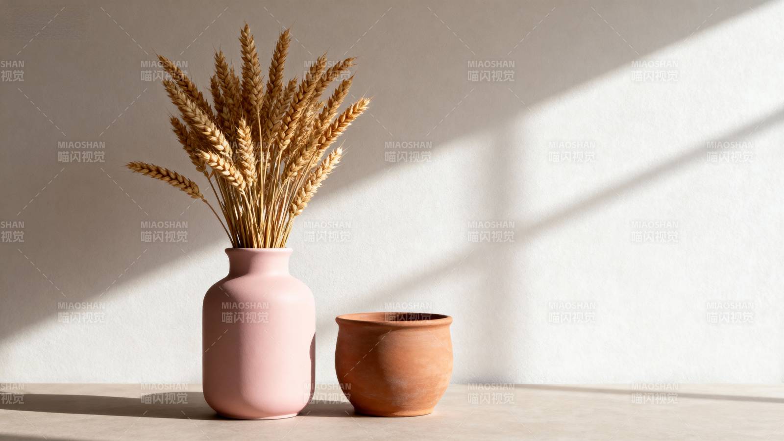 麦穗静物光影图片