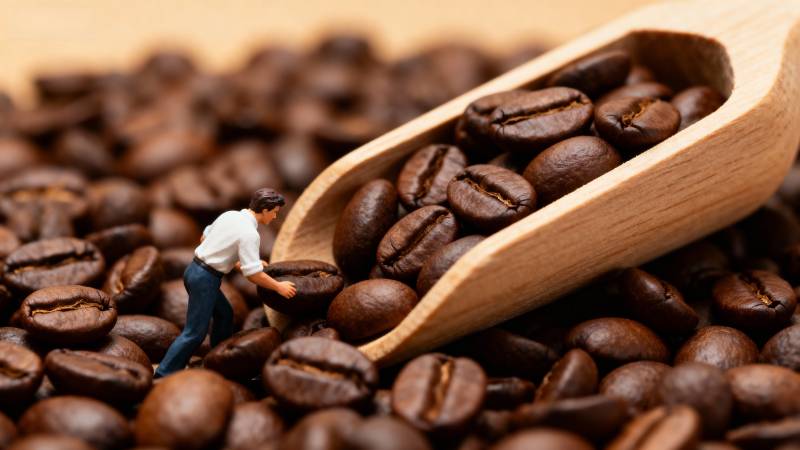 咖啡豆中的小人图片