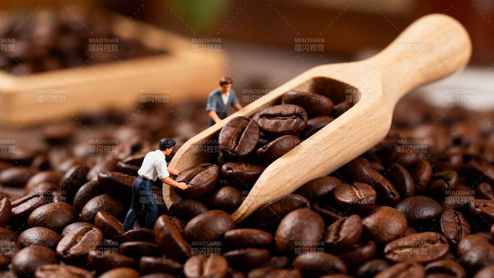 咖啡豆上的小人图片