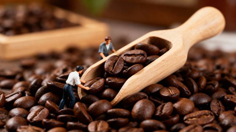 咖啡豆上的小人图片