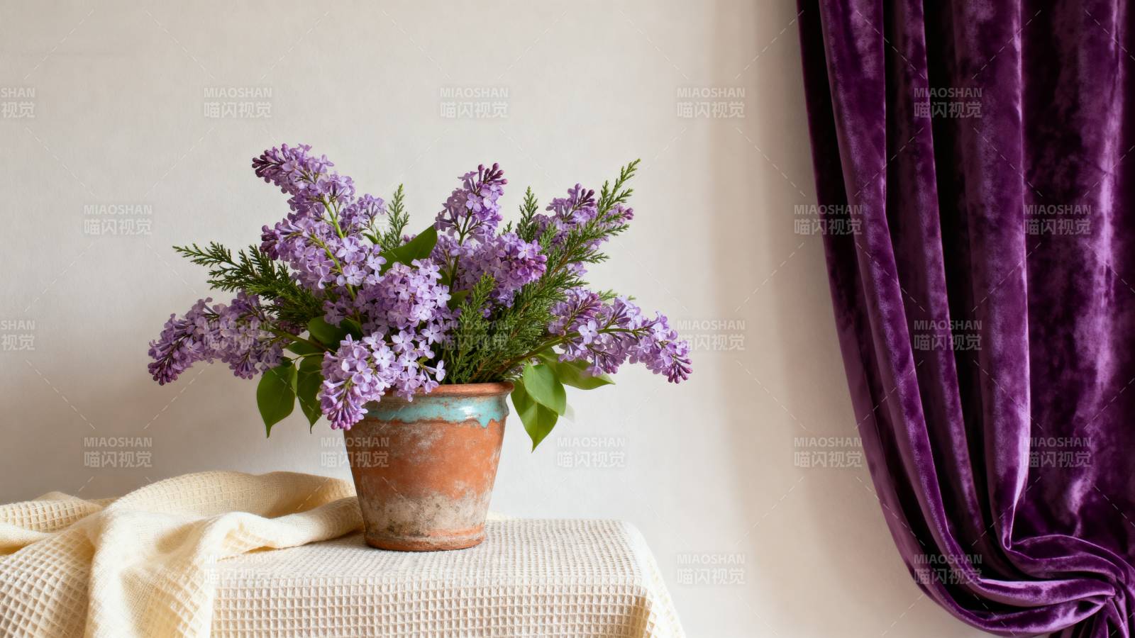 紫花静谧角落图片
