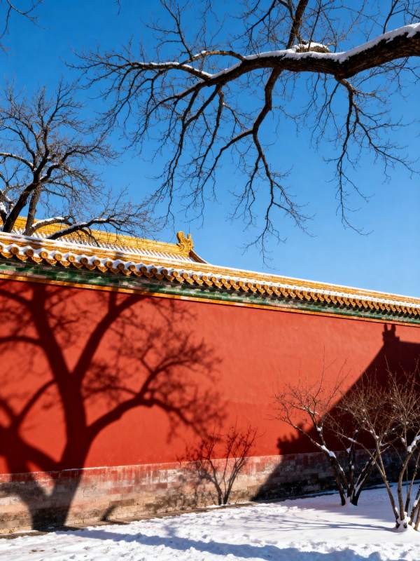 雪映红墙影图片