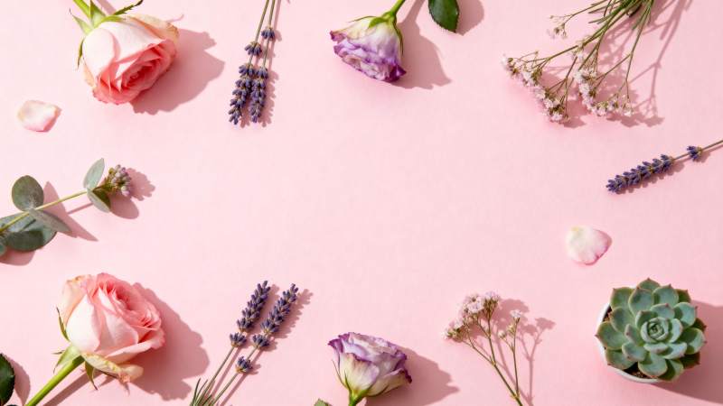 花语静谧之美图片