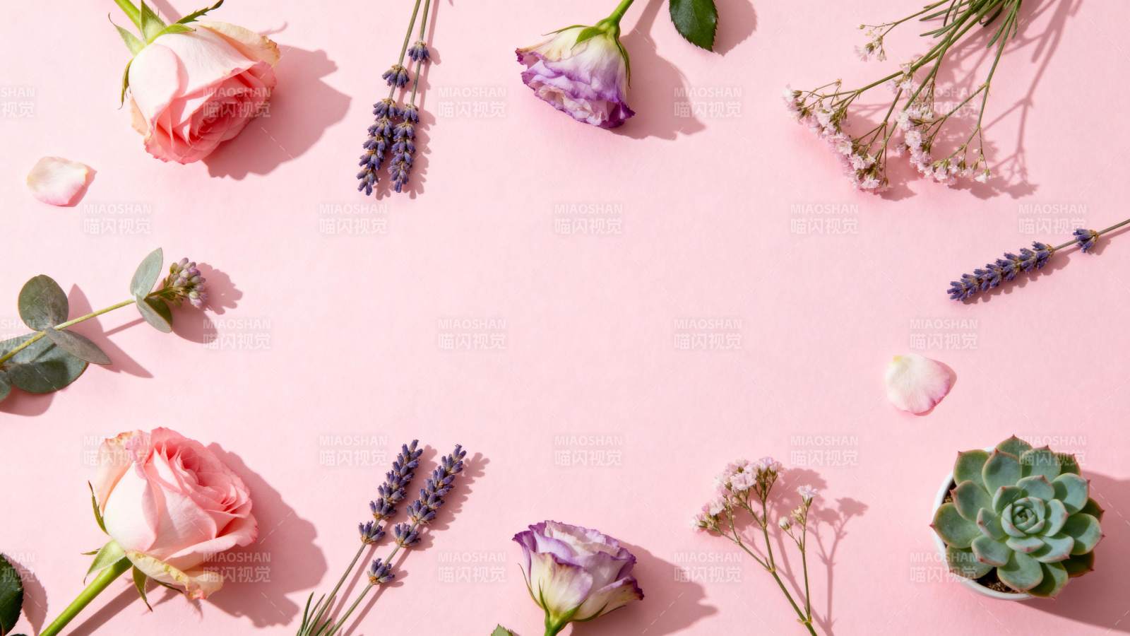 花语静谧之美图片