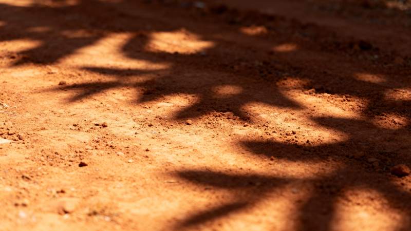 树影斑驳的红土图片