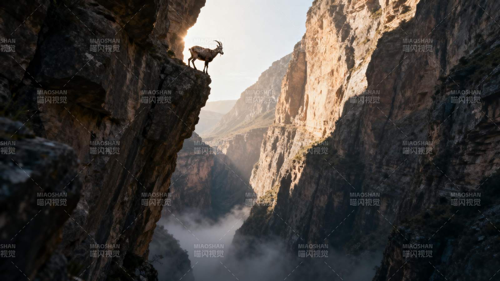 峭壁上的孤影图片