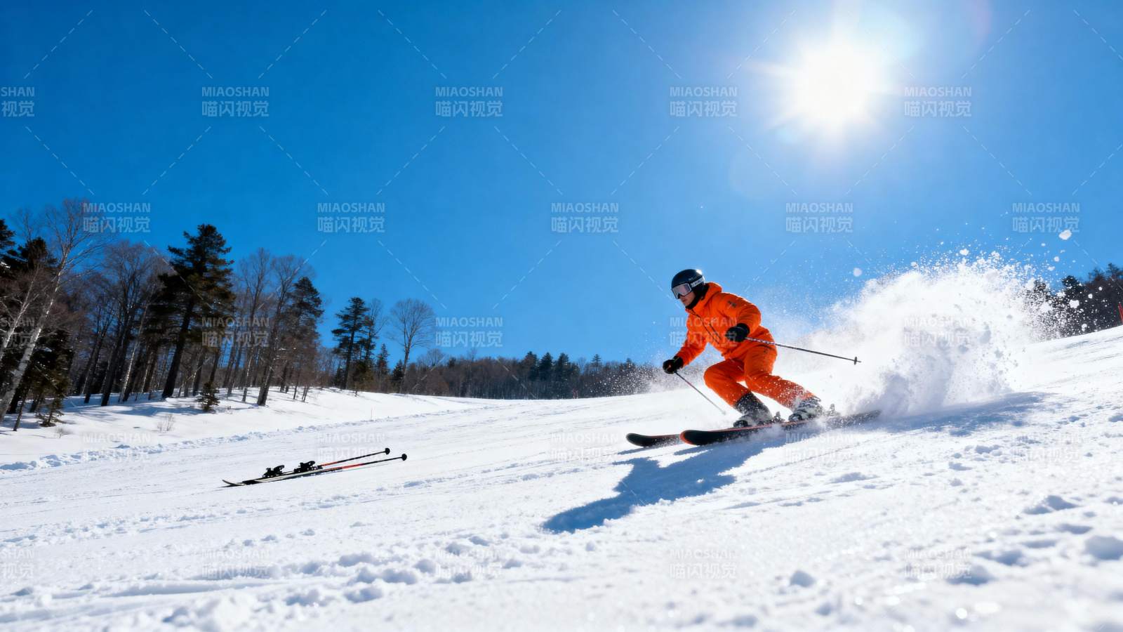 雪地疾驰 畅享滑雪图片