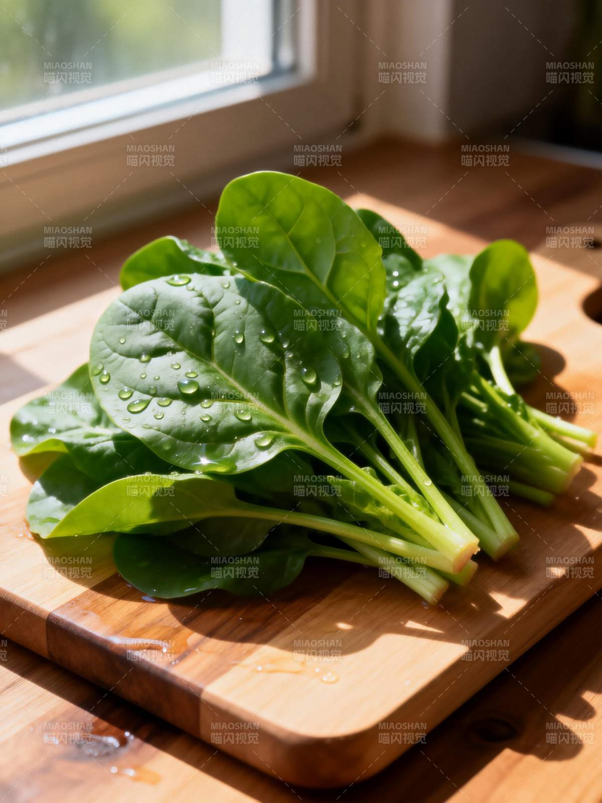 新鲜菠菜待烹图片