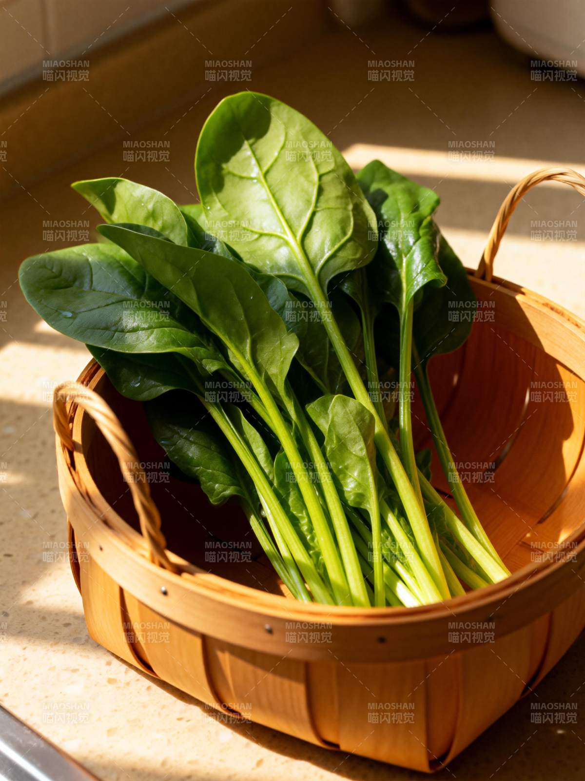 新鲜菠菜篮中盛图片