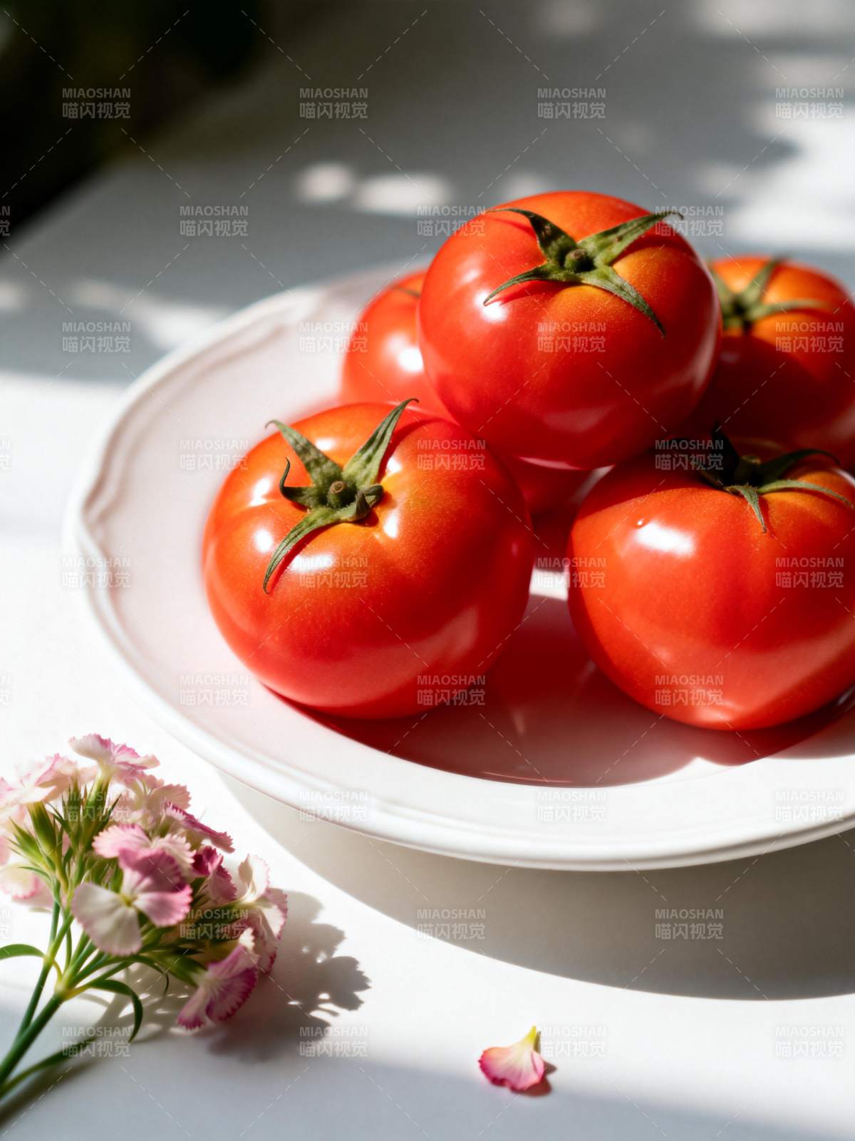 鲜红番茄伴花影图片