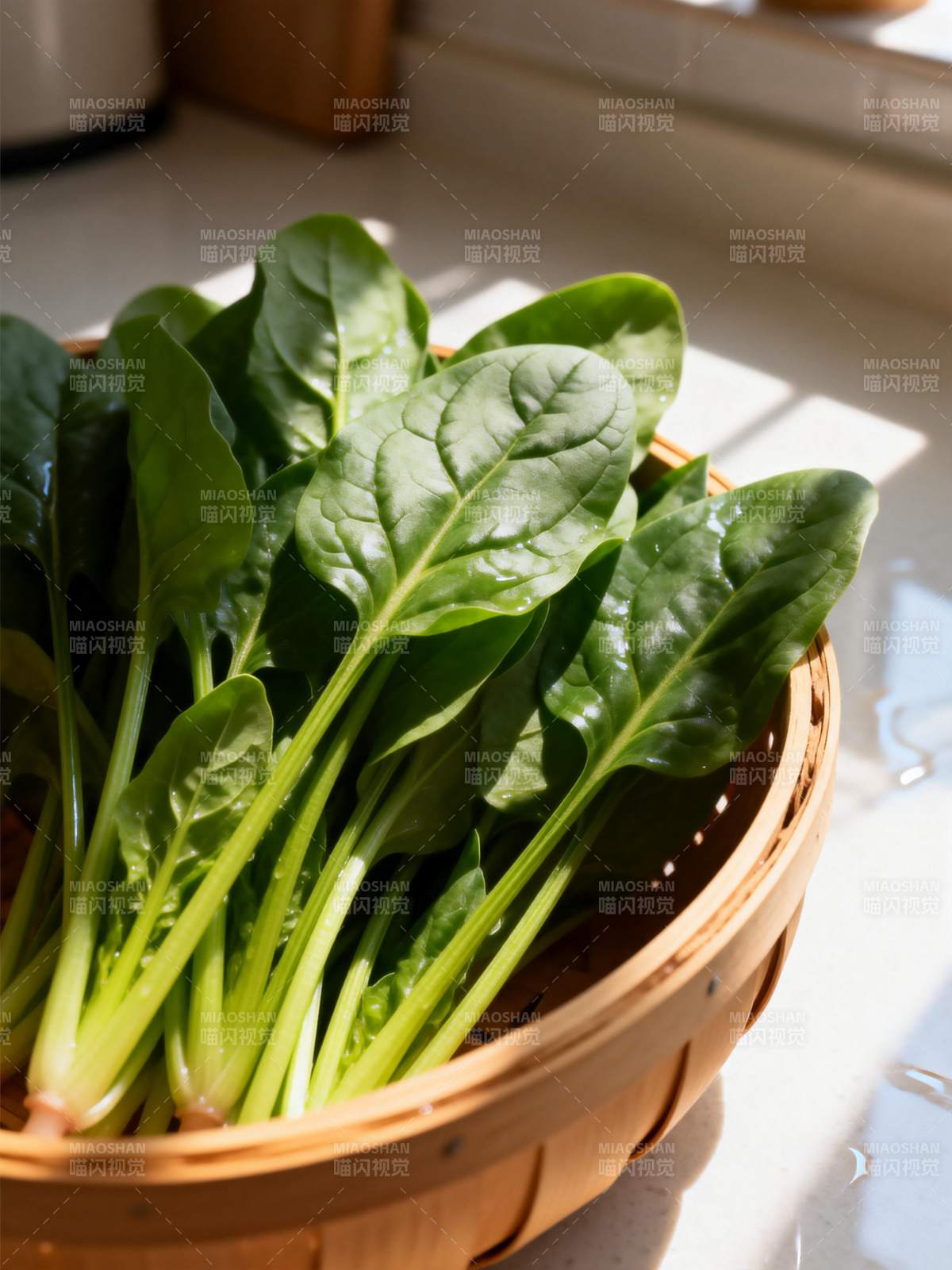 新鲜菠菜篮中盛图片
