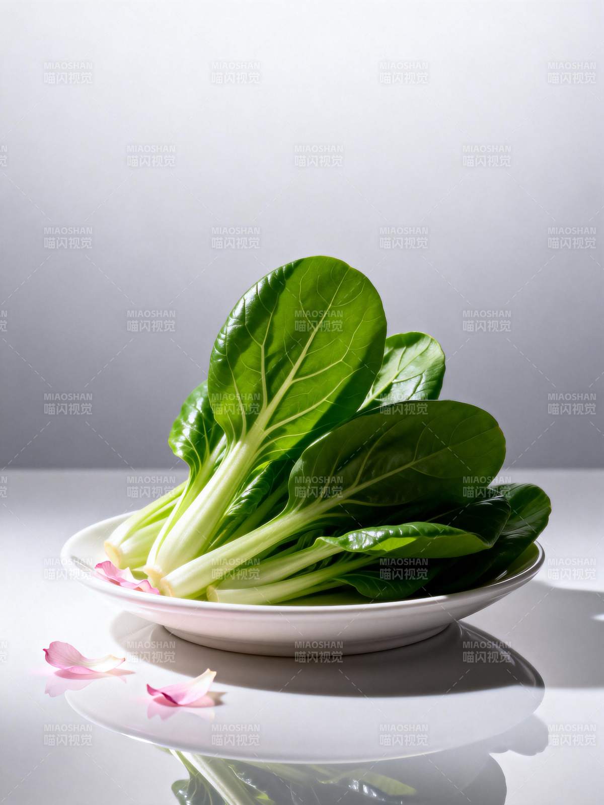 清翠小白菜图片