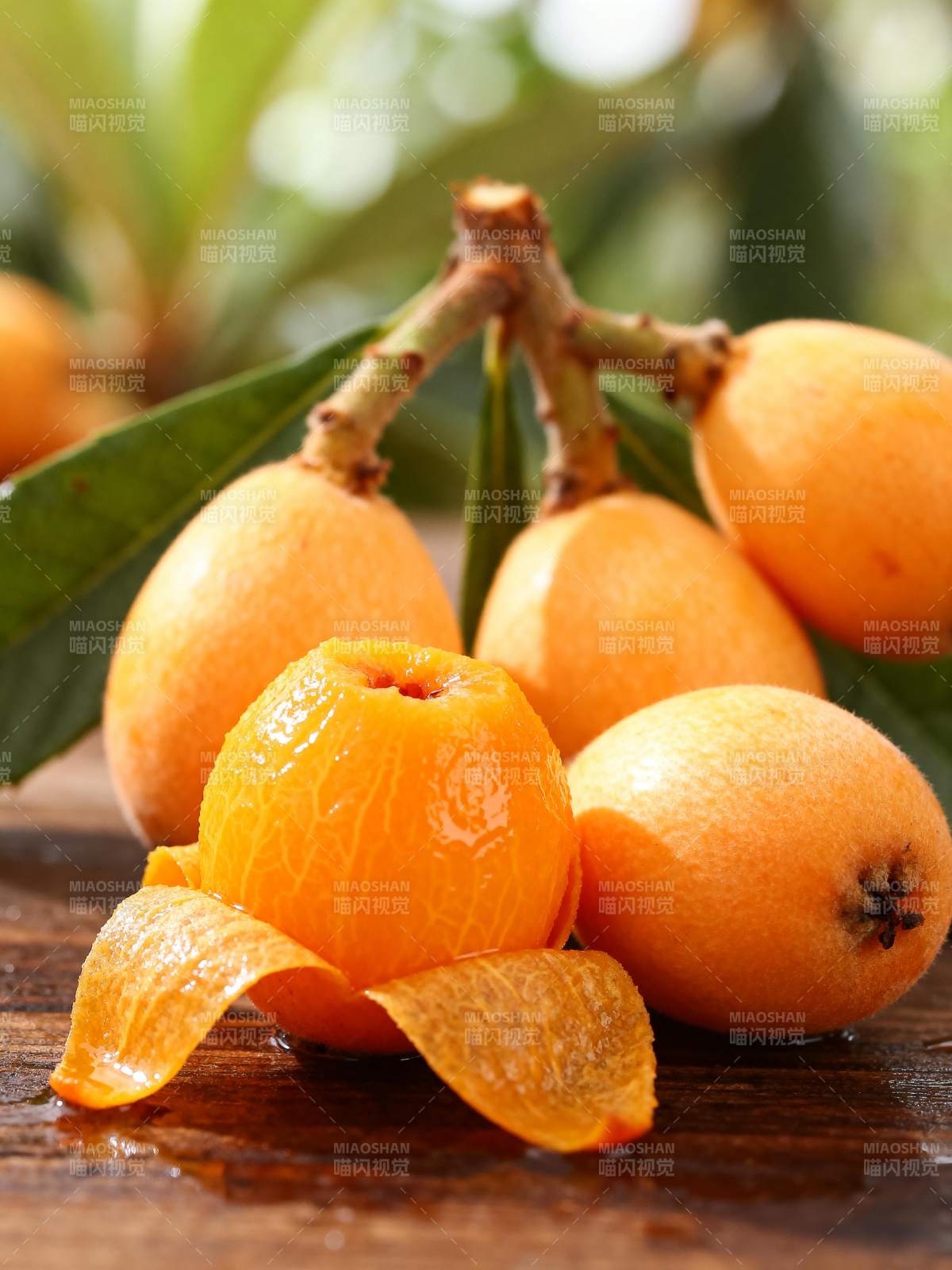 枇杷果实特写图片