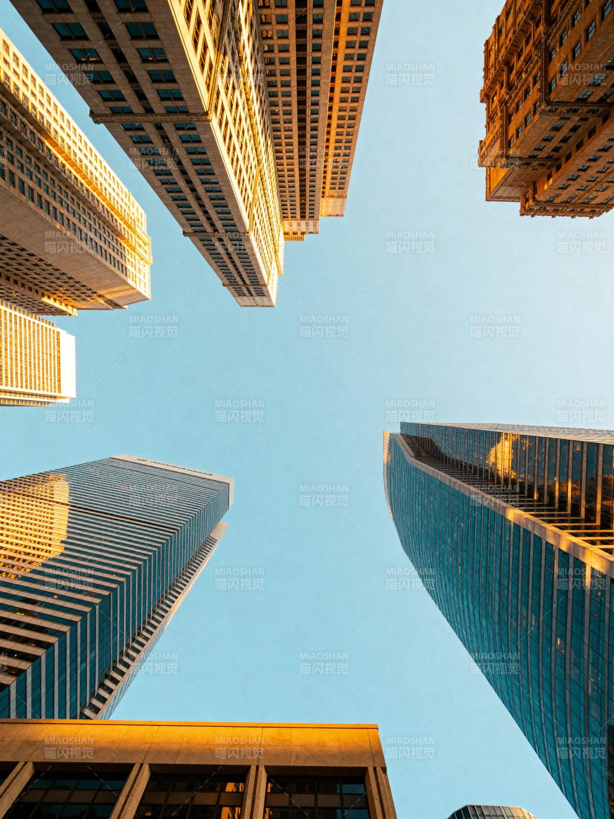 仰望城市天际线图片