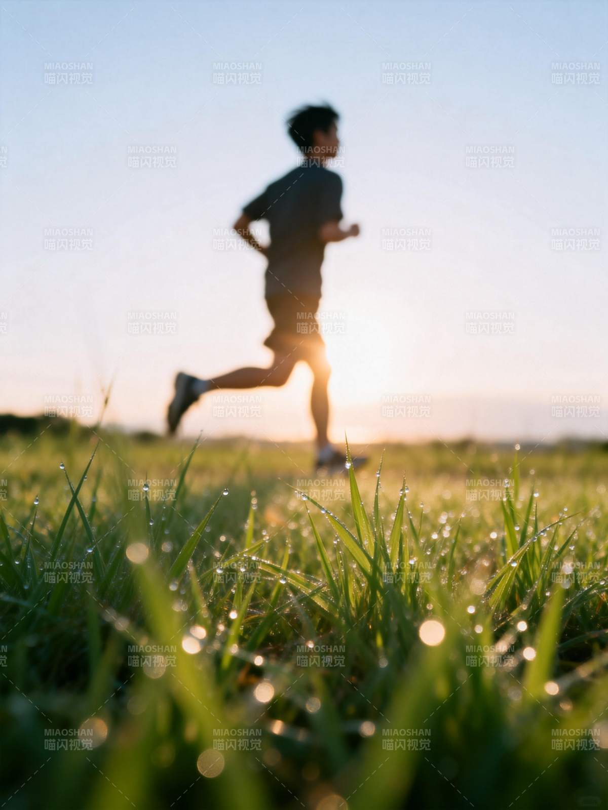 晨跑追光图片