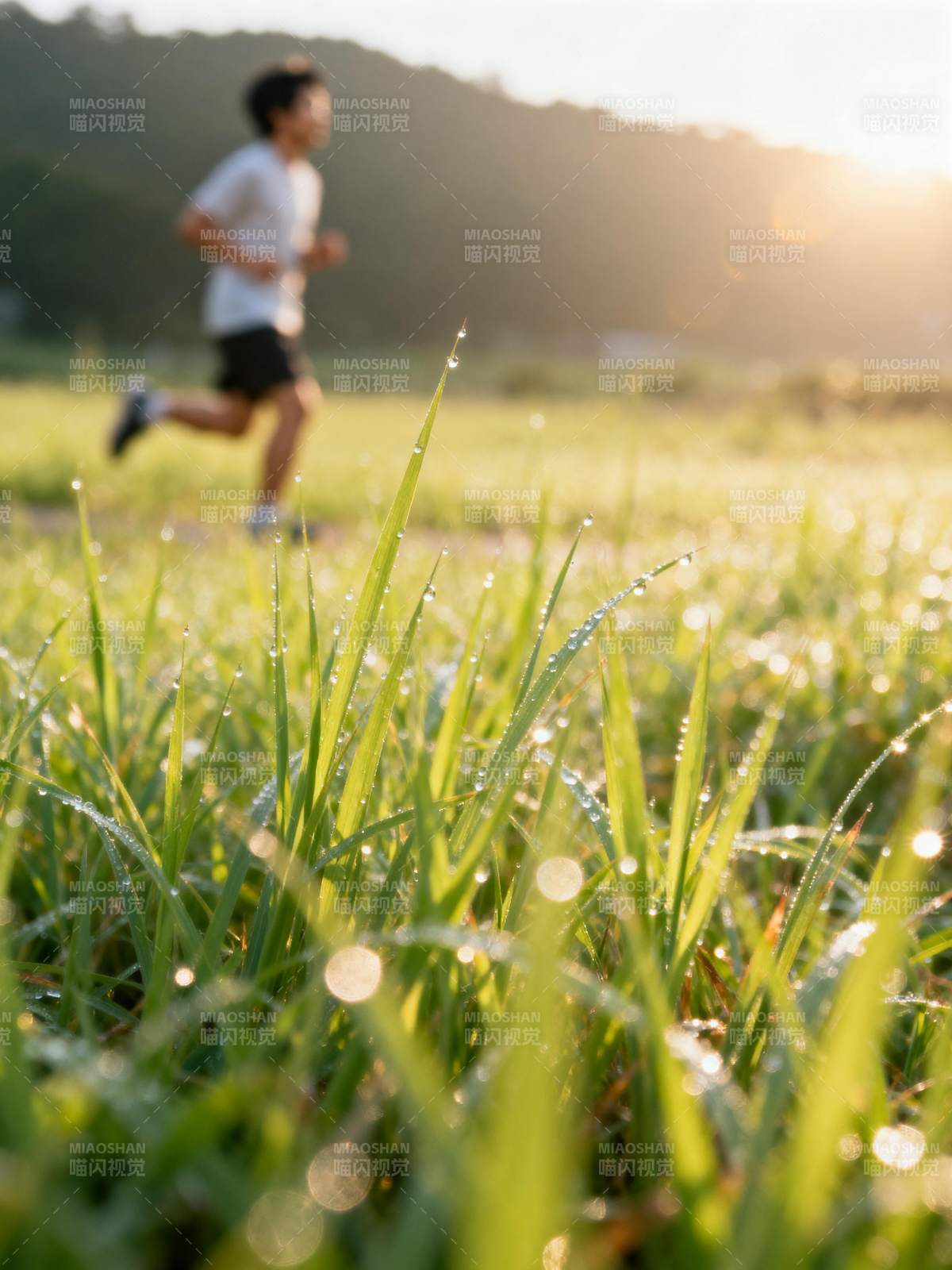 晨跑草露图片