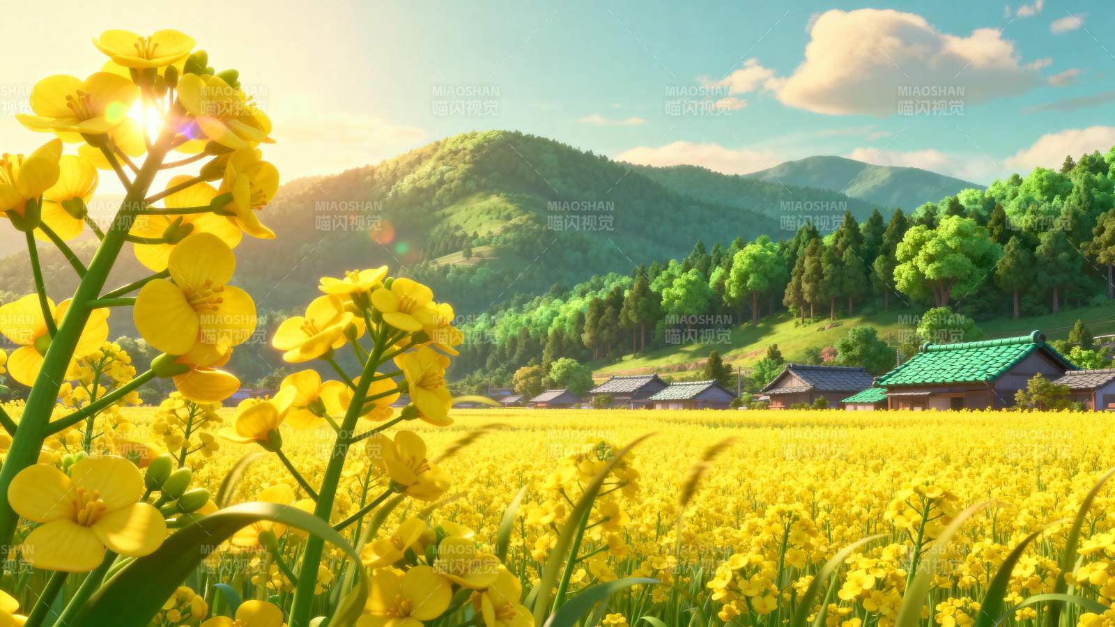 油菜花田春景图片