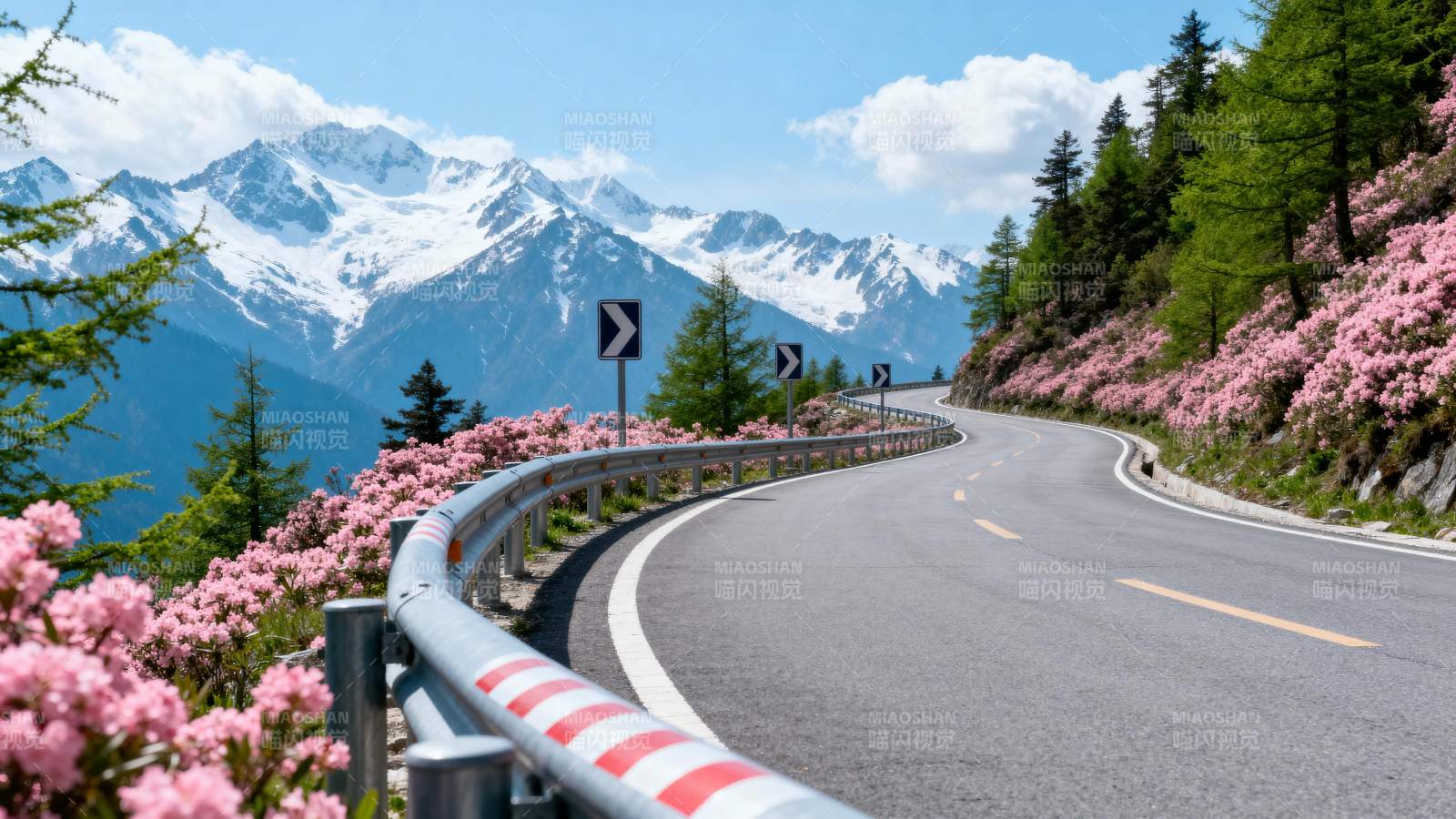 雪山花路美景图片