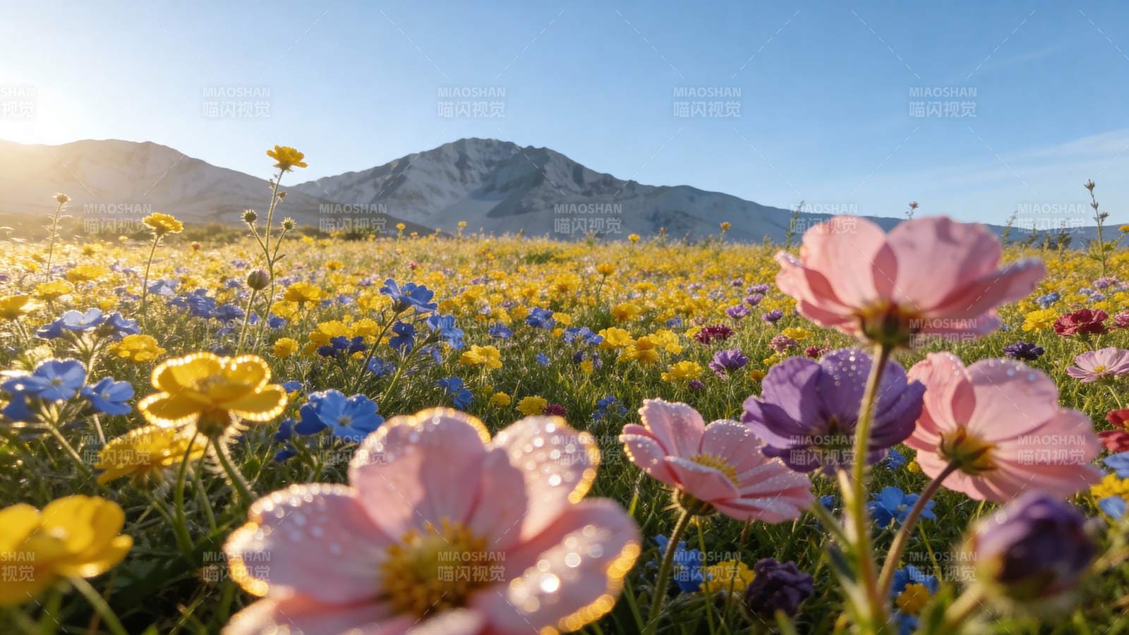 花海映山 春意盎然图片